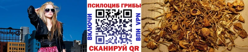 что такое наркотик  Снежногорск  Галлюциногенные грибы мицелий 