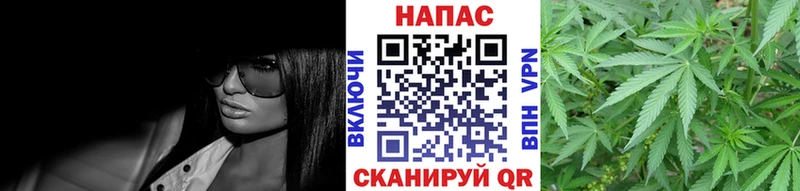 Марихуана конопля  Снежногорск 
